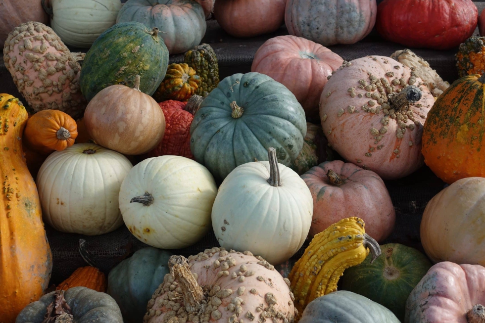 Trick or treat? The top PR horror stories to avoid