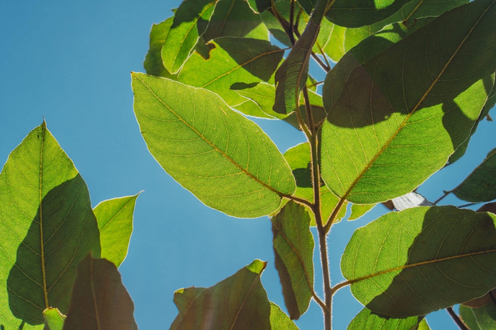 10 UK sustainability journalists to follow on X / Twitter